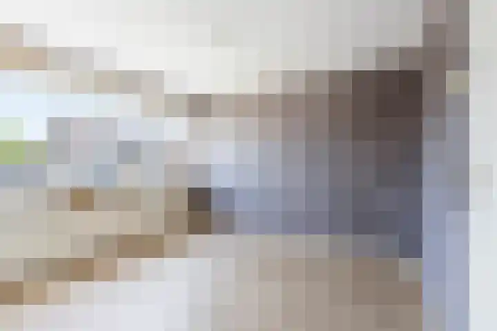 Prinses Irenelaan 27 Nieuwendijk thumbnail 32