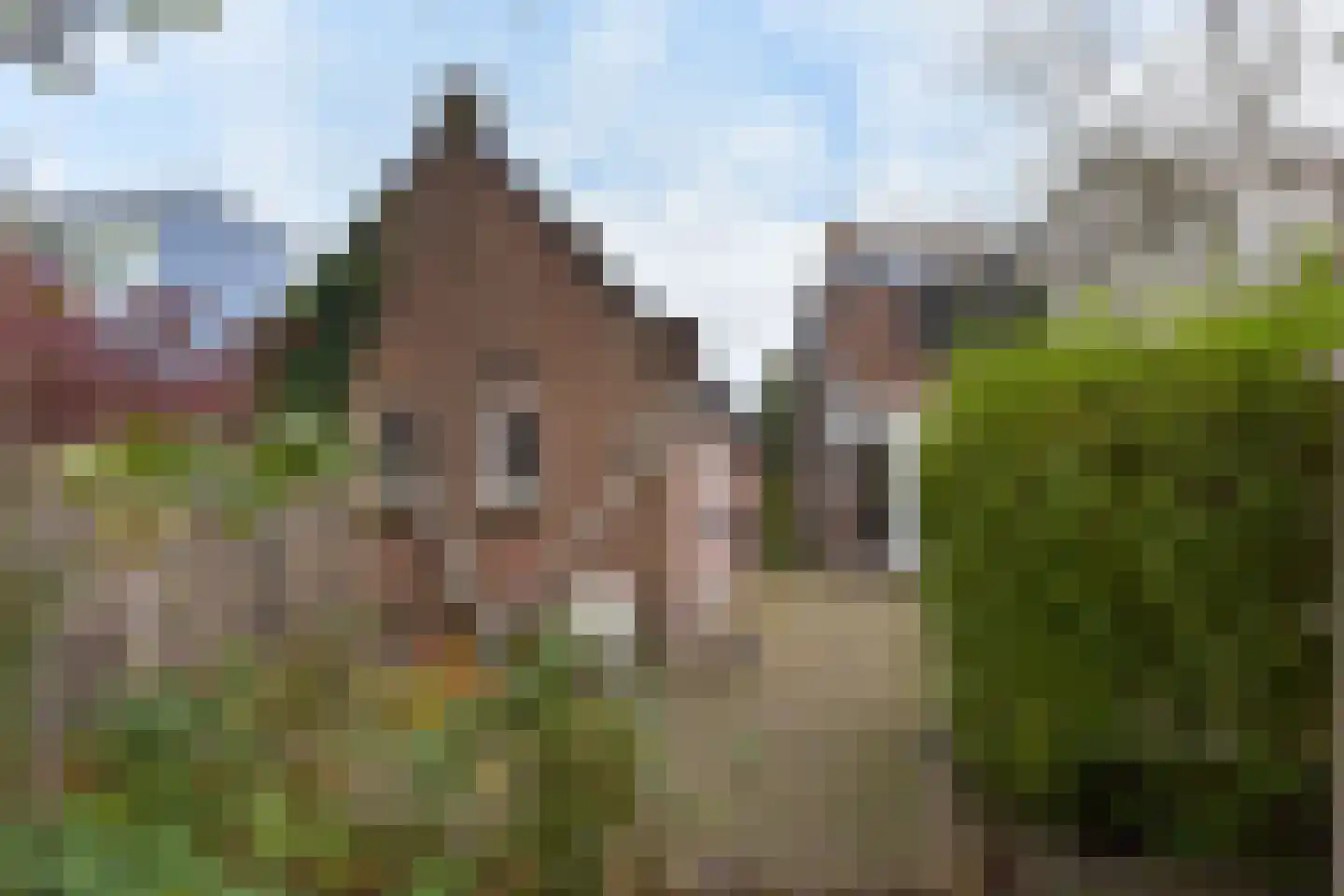 Prinses Irenelaan 3 Mijdrecht thumbnail 23