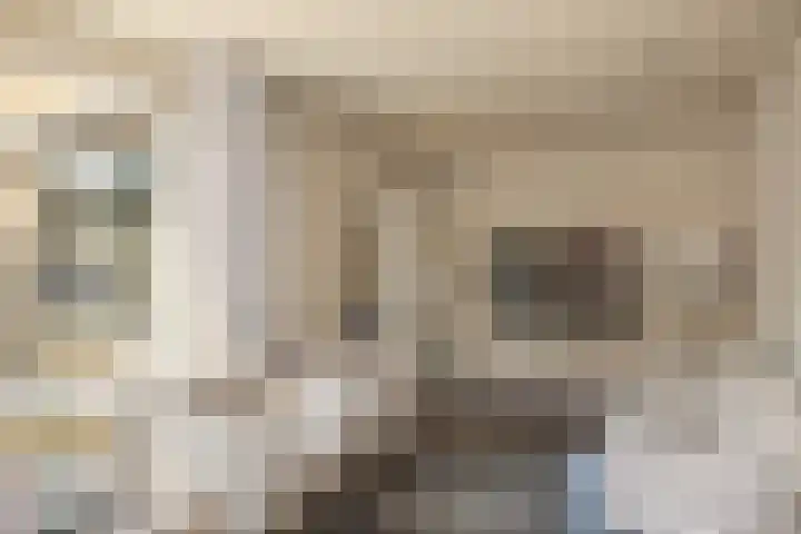 Prinses Irenelaan 4 Bathmen thumbnail 10