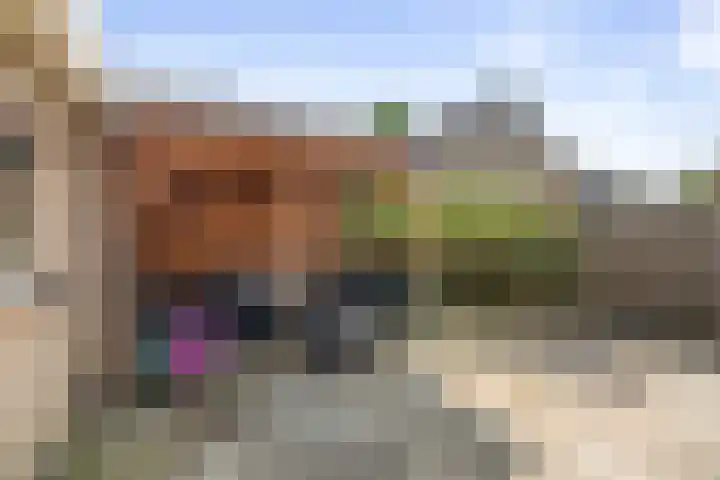 Prinses Irenelaan 4 Bathmen thumbnail 27
