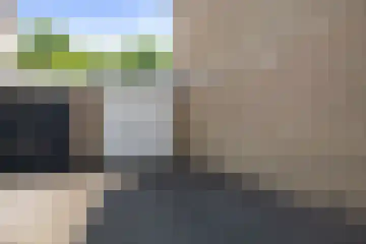 Prinses Irenelaan 4 Bathmen thumbnail 30