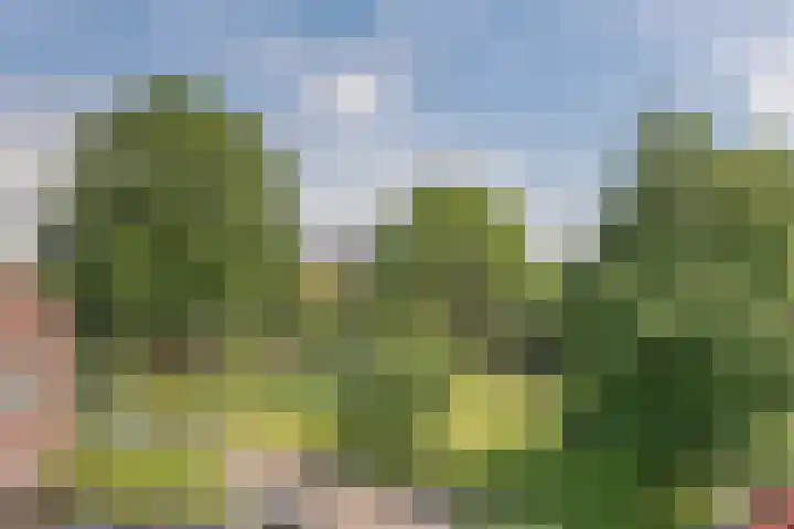 Prinses Irenelaan 4 Uithoorn thumbnail 34