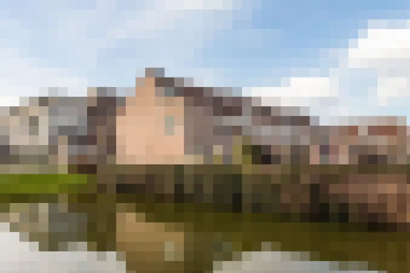 Prinses Irenelaan 46 Den Hoorn thumbnail 31