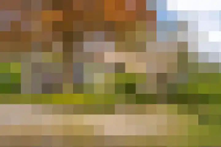 Prinses Irenelaan 5 Hattem thumbnail 109