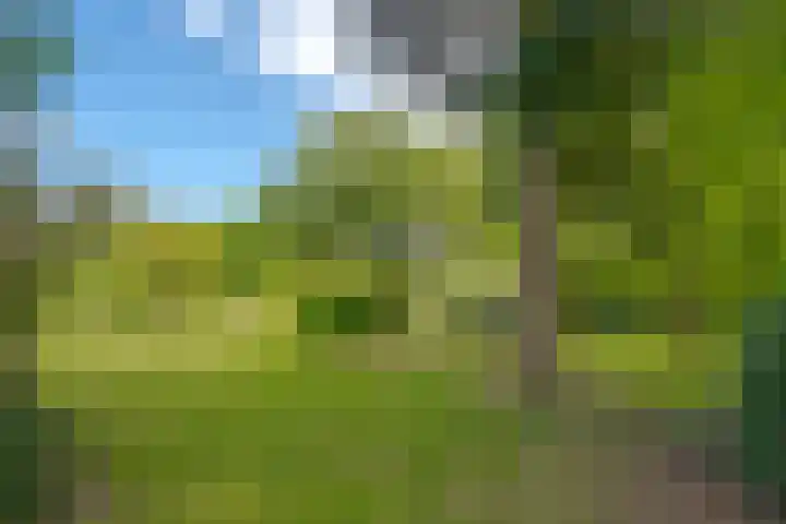 Prinses Irenelaan 5 Hattem thumbnail 11