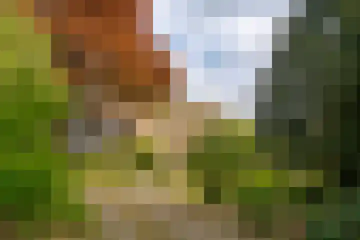 Prinses Irenelaan 5 Hattem thumbnail 110