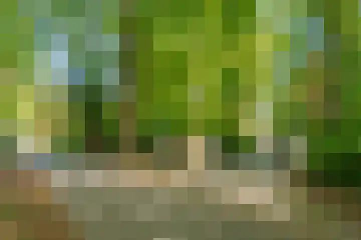 Prinses Irenelaan 5 Hattem thumbnail 111