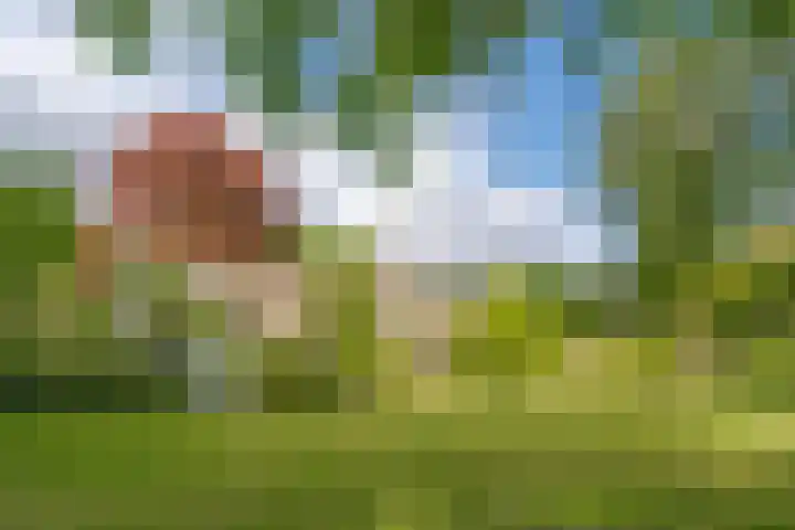 Prinses Irenelaan 5 Hattem thumbnail 12