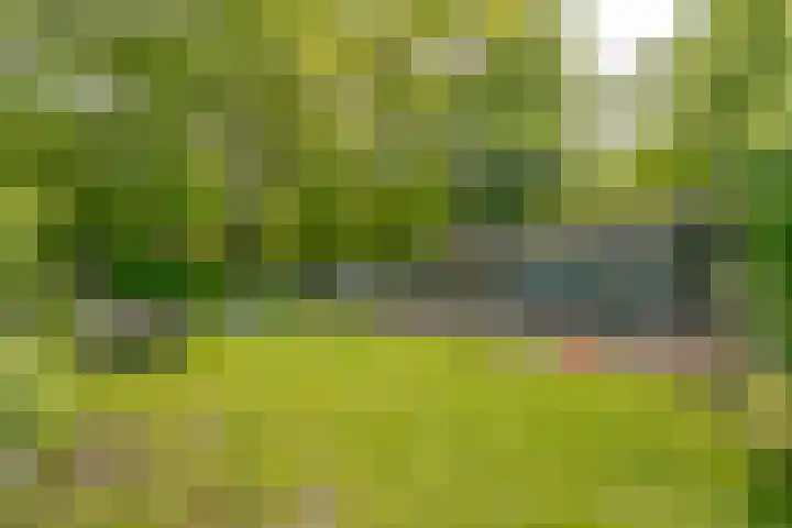 Prinses Irenelaan 5 Hattem thumbnail 14