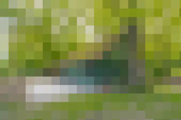 Prinses Irenelaan 5 Hattem thumbnail 15