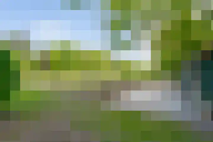 Prinses Irenelaan 5 Hattem thumbnail 16