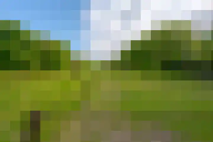 Prinses Irenelaan 5 Hattem thumbnail 17