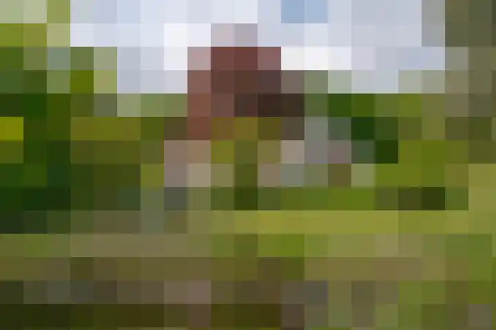 Prinses Irenelaan 5 Hattem thumbnail 19