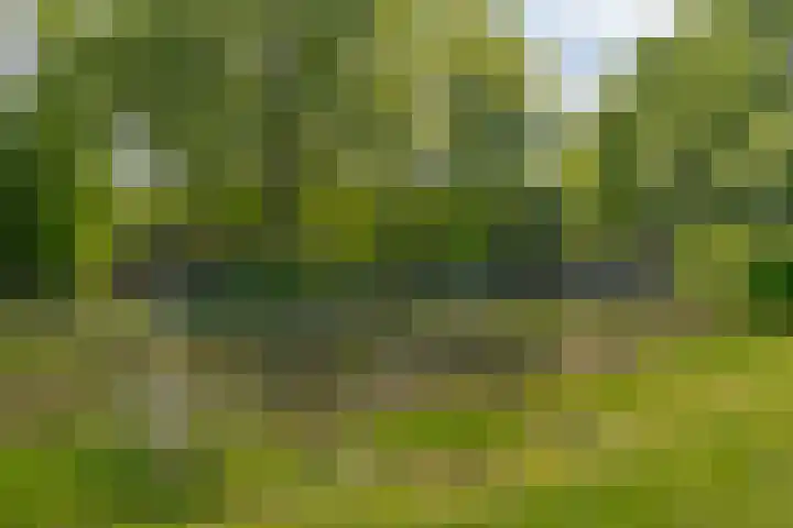 Prinses Irenelaan 5 Hattem thumbnail 20