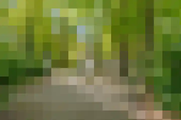 Prinses Irenelaan 5 Hattem thumbnail 25