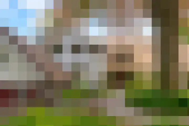 Prinses Irenelaan 5 Hattem thumbnail 29