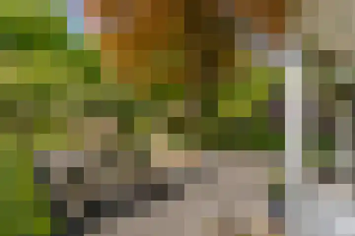 Prinses Irenelaan 5 Hattem thumbnail 30