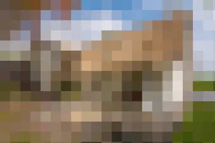 Prinses Irenelaan 5 Hattem thumbnail 32