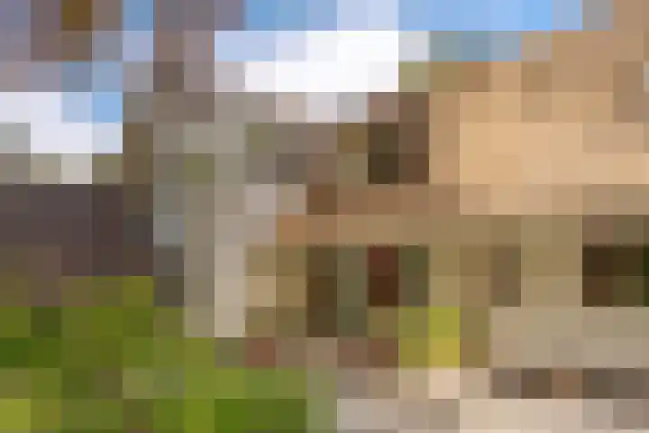 Prinses Irenelaan 5 Hattem thumbnail 33