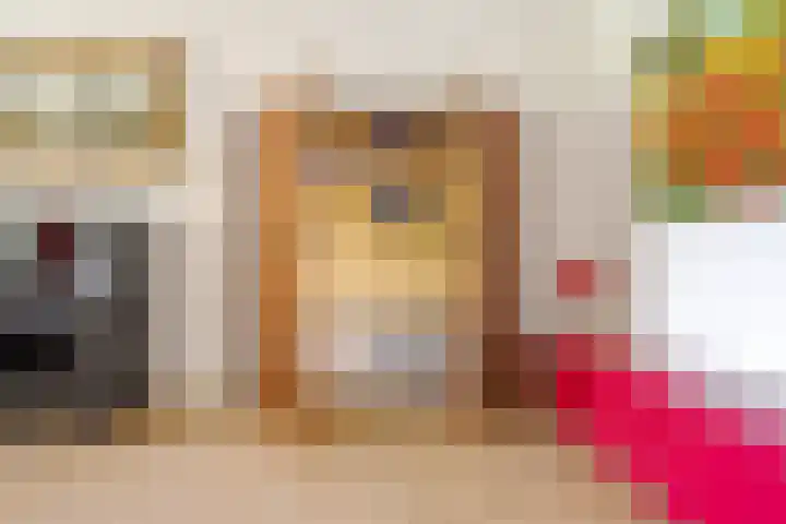 Prinses Irenelaan 5 Hattem thumbnail 36