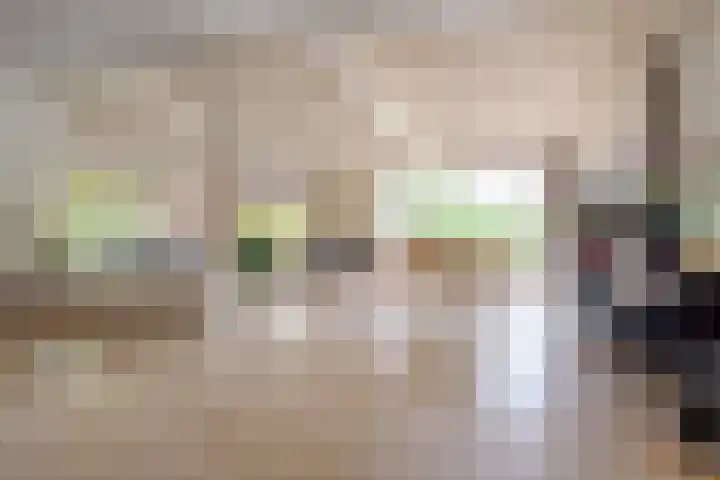 Prinses Irenelaan 5 Hattem thumbnail 37