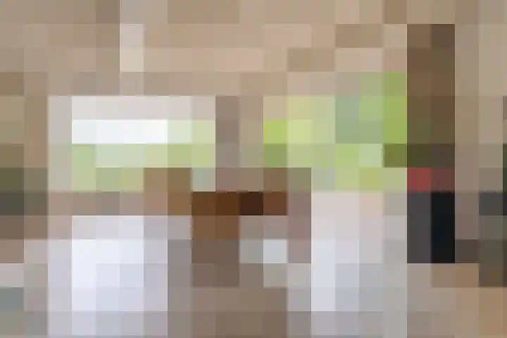 Prinses Irenelaan 5 Hattem thumbnail 38