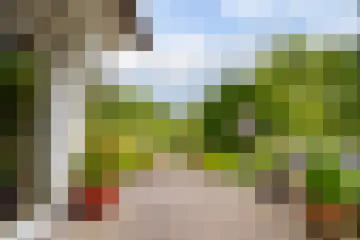 Prinses Irenelaan 5 Hattem thumbnail 4