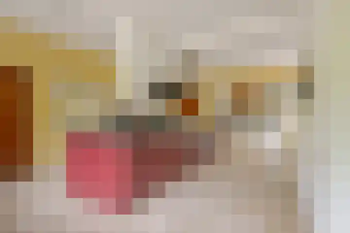 Prinses Irenelaan 5 Hattem thumbnail 49