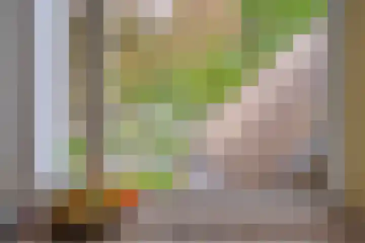 Prinses Irenelaan 5 Hattem thumbnail 53