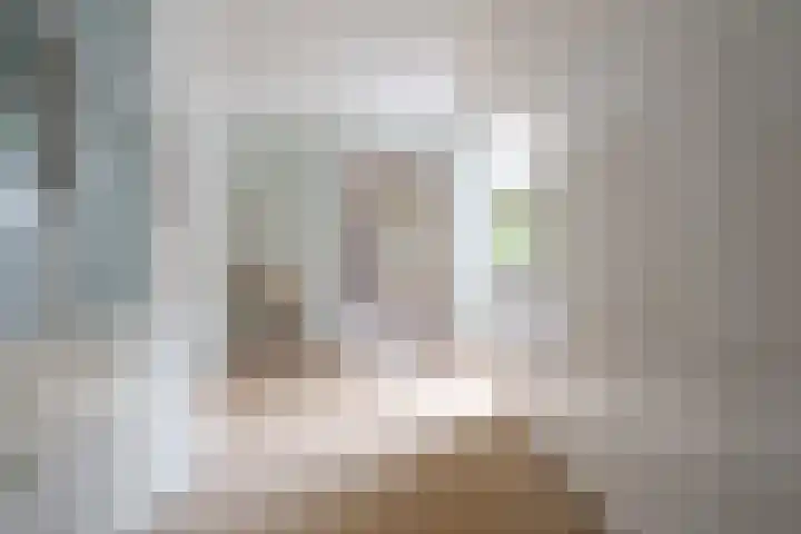 Prinses Irenelaan 5 Hattem thumbnail 56