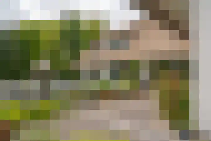 Prinses Irenelaan 5 Hattem thumbnail 6