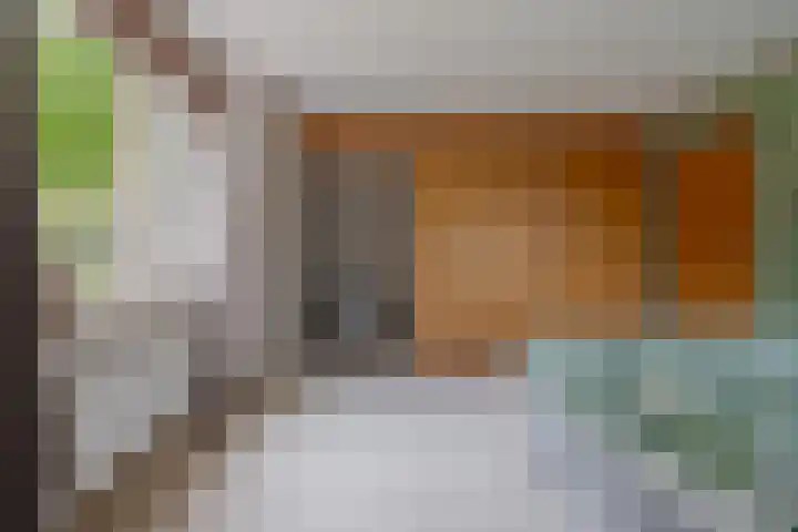 Prinses Irenelaan 5 Hattem thumbnail 63