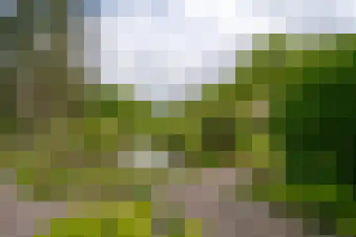 Prinses Irenelaan 5 Hattem thumbnail 7