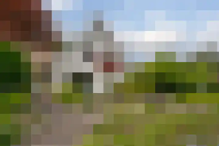 Prinses Irenelaan 5 Hattem thumbnail 8