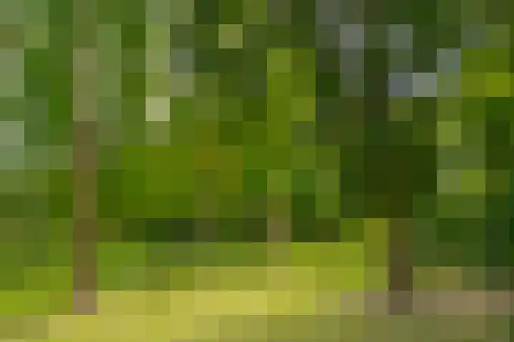 Prinses Irenelaan 5 Hattem thumbnail 9