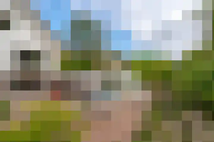 Prinses Irenelaan 5 Hattem thumbnail 93