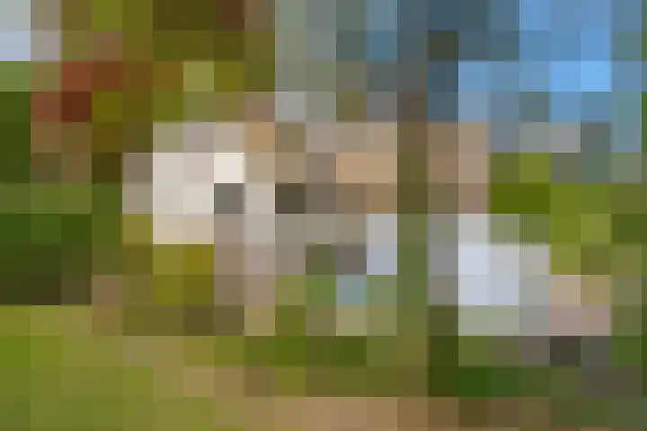 Prinses Irenelaan 5 Hattem thumbnail 95