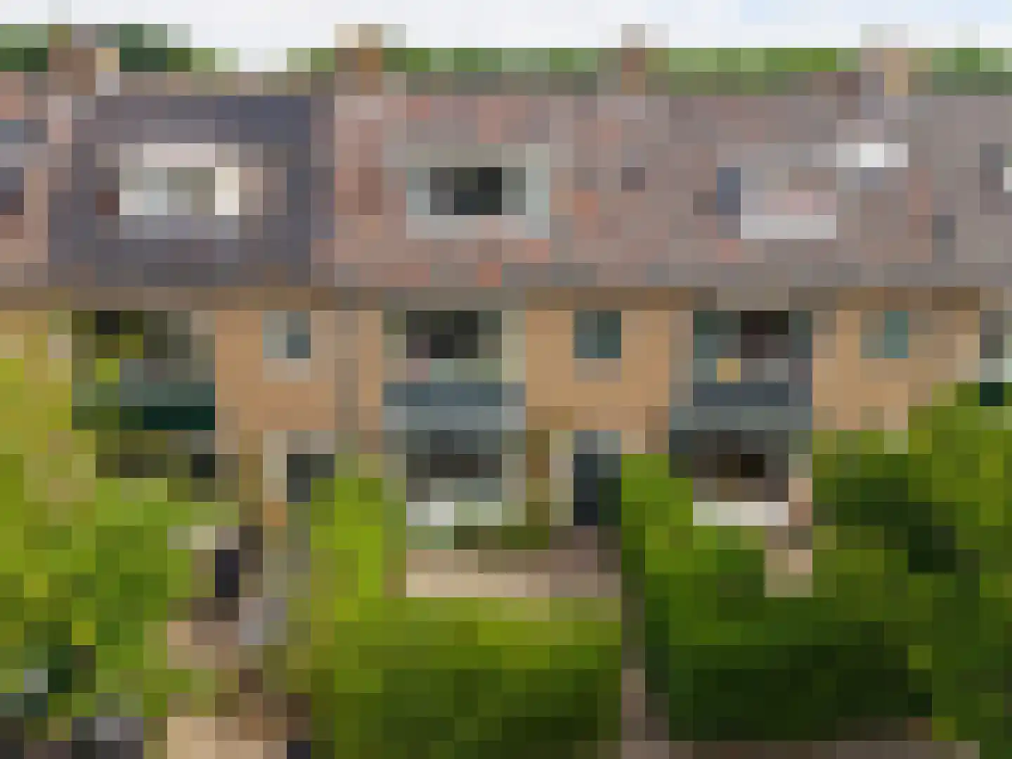 Prinses Irenelaan 5 Oegstgeest thumbnail 43