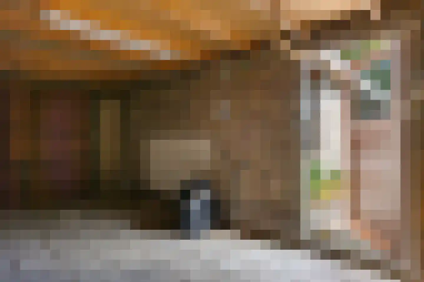 Prinses Irenelaan 5 Oranjewoud thumbnail 36
