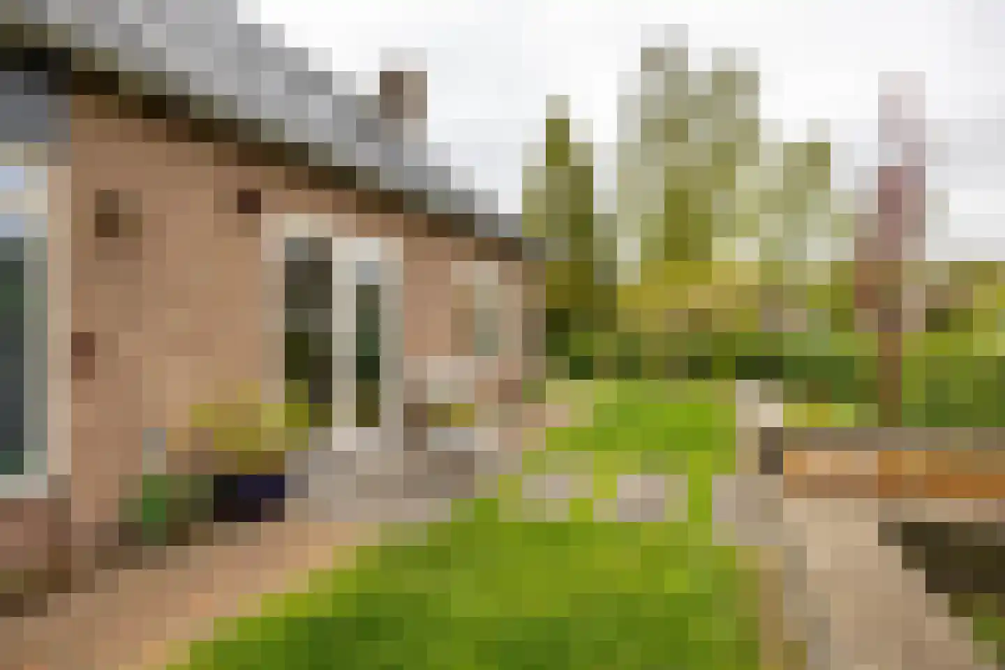 Prinses Irenelaan 5 Paterswolde thumbnail 43