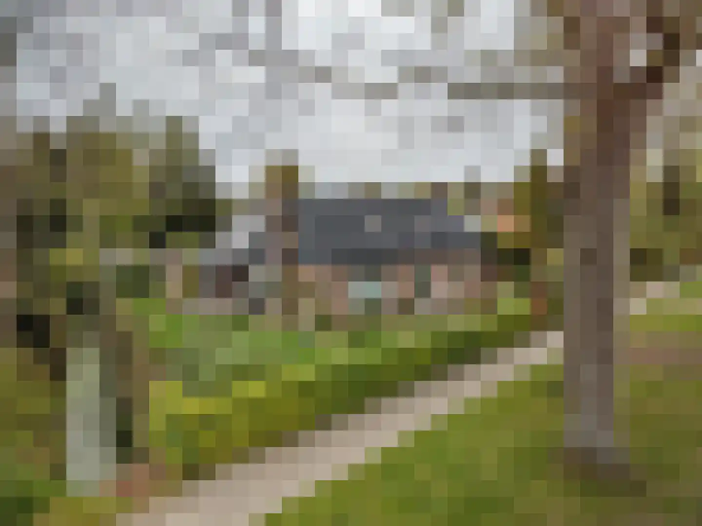 Prinses Irenelaan 5 Paterswolde thumbnail 45