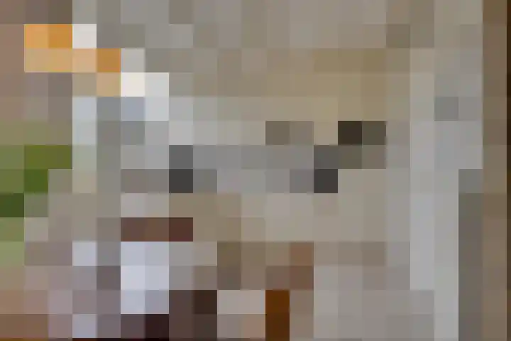 Prinses Irenelaan 50 Leusden thumbnail 8