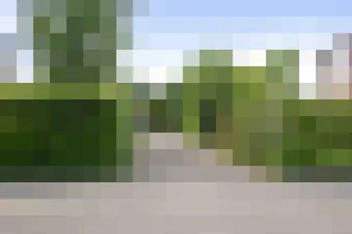 Prinses Irenelaan 6 Bathmen thumbnail 33