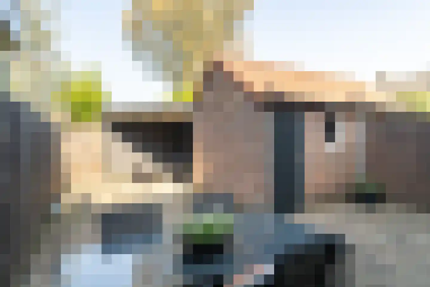 Prinses Irenelaan 6 Nieuwendijk thumbnail 22