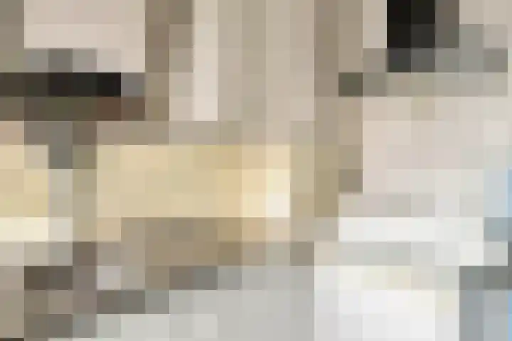 Prinses Irenelaan 64 Utrecht thumbnail 19