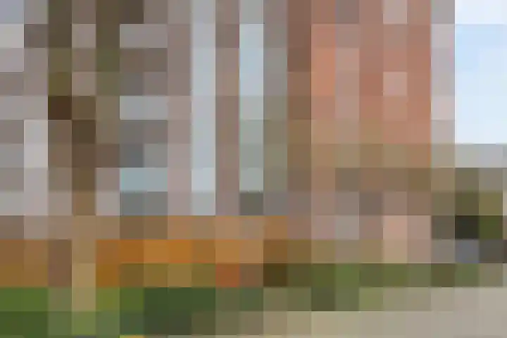 Prinses Irenelaan 64 Utrecht thumbnail 32