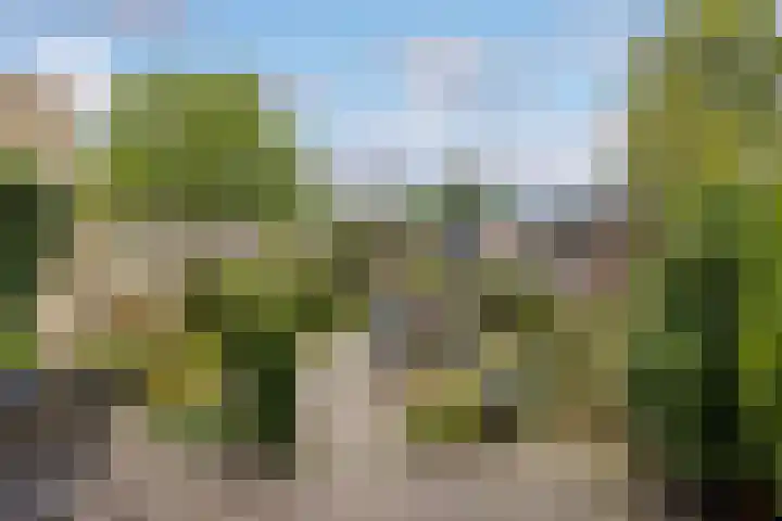 Prinses Irenelaan 65 Leusden thumbnail 10