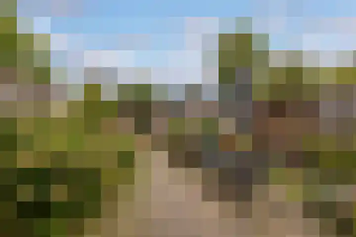 Prinses Irenelaan 65 Leusden thumbnail 11