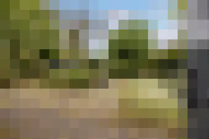 Prinses Irenelaan 65 Leusden thumbnail 12