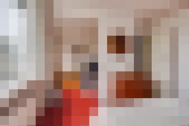 Prinses Irenelaan 65 Leusden thumbnail 23